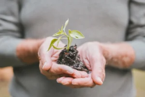 optimiser référencement naturel